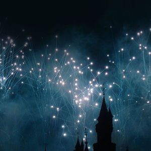 Meet your Posher, Allie